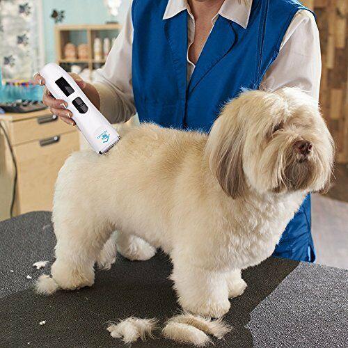 Hair Clippers Professional for Dogs and Cats Low Noise Baja Vibration With 140